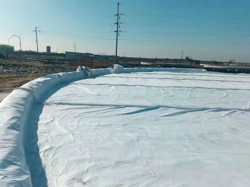 什么才是好麻豆最新网址-麻豆最新网址