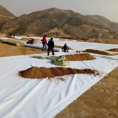 养护麻豆最新网址价格