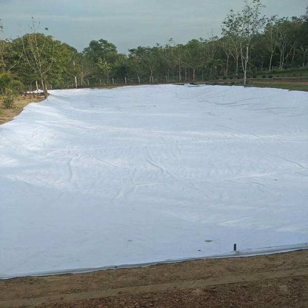 公路养护 沥青道路专用麻豆最新网址