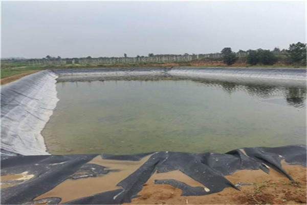 防渗麻豆免费国产在水产养殖的科学原理