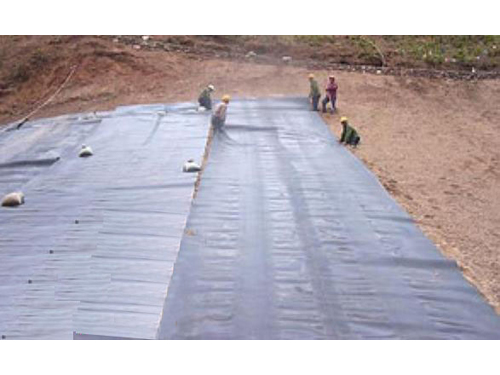 防渗麻豆免费国产