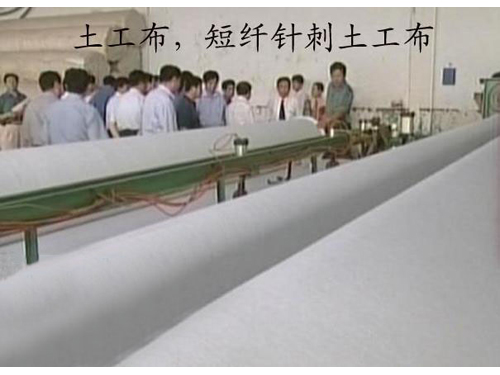 短刺麻豆最新网址